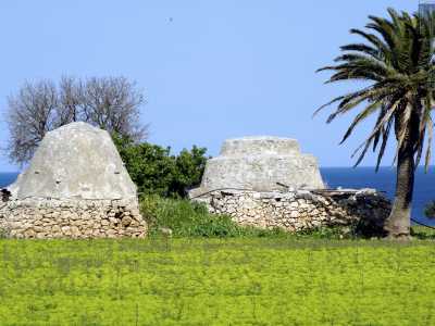 ...in realt� non mancano del tutto neanche a sud del capoluogo: ad esempio li possiamo scorgere nel cosiddetto �parco dei trulli�...
